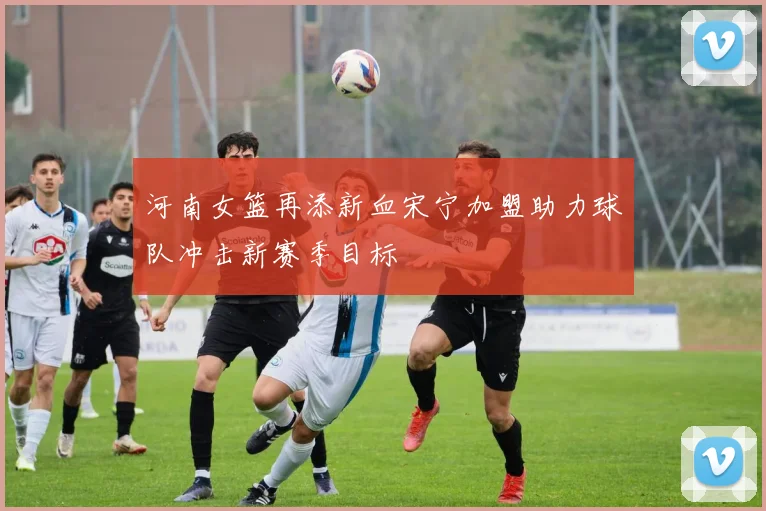 河南女篮再添新血宋宁加盟助力球队冲击新赛季目标